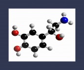 norepinephrine framed image healthtips images